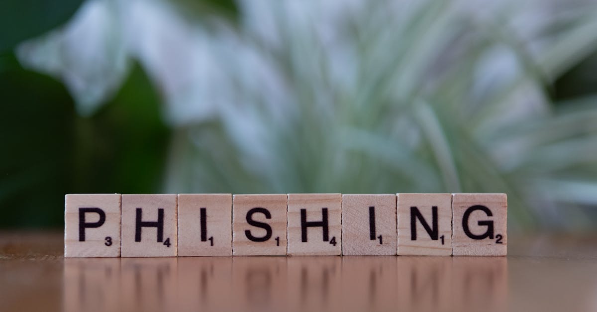 如何对网站进行波兰语SEO优化