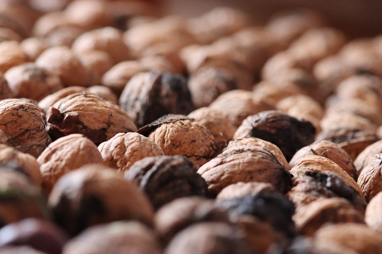 CC在线压力测试|磁力详情下载教程软件的app