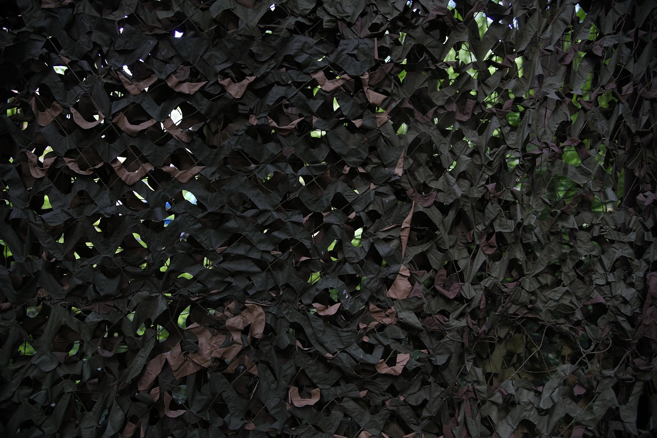 烟民的经验、感受和态度:关注吸烟者的权益