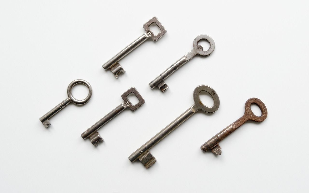 胡桃日记：那个app可以详情下载教程老友记