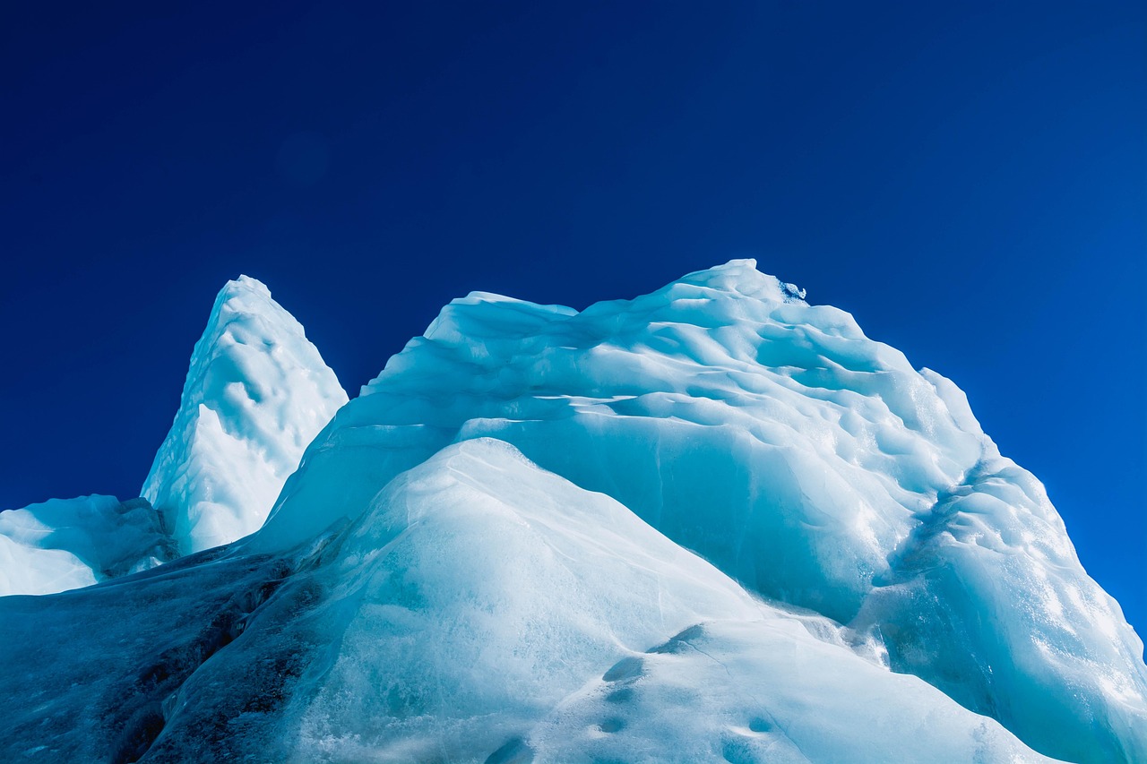 日税金鼎长和平：长宁区积分平台代理
