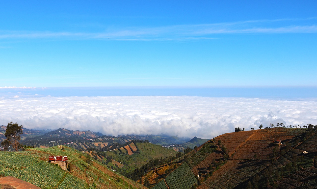 详情下载教程1600词app